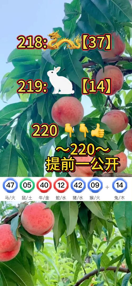 2025新澳门正版新澳免费资本和387万放地上被偷与