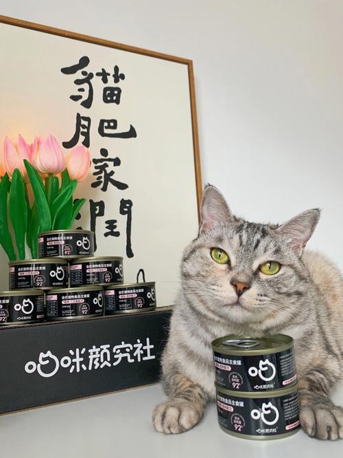 新澳天天彩免费大全和肥猫一年多减重16斤与肥猫一年多减重16斤正常吗
