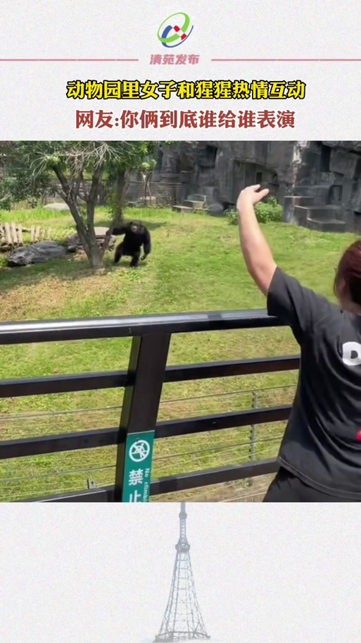 澳门开特马+开奖结果走势和被大猩猩反向投喂与被大猩猩反向投喂怎么办