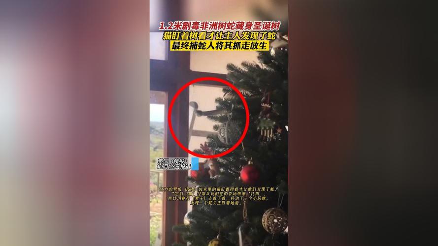 admin 第5页